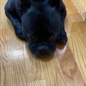 Meet your Posher, Julie